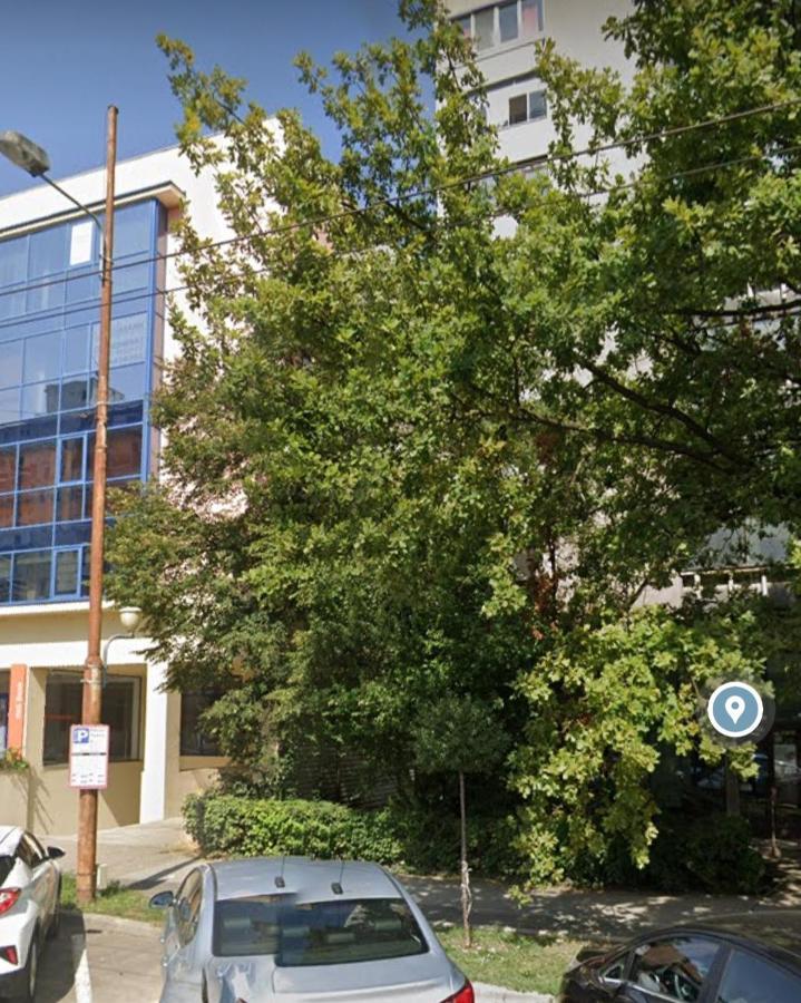 David'S Studio Timisoara Exterior photo